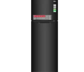 Tủ lạnh LG Inverter 255 lít GN-M255BL (2019) 